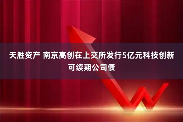 天胜资产 南京高创在上交所发行5亿元科技创新可续期公司债